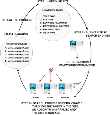 search engine optimization york